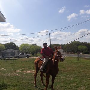 Meet your Posher, Jose